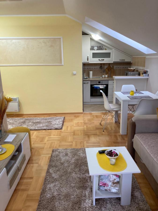 Apartmani Grand Lux Vrnjačka Banja 外观 照片